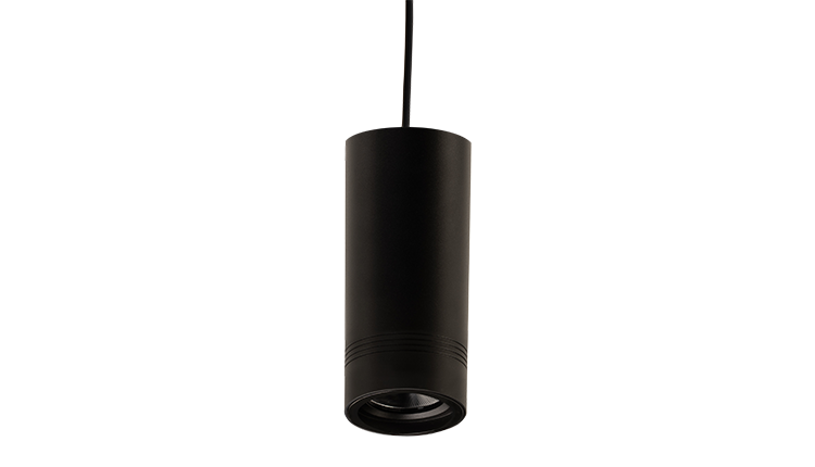 Alundra Pendant Light for offices