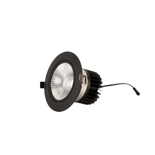 Puppis 2K Recessed Downlight for retail